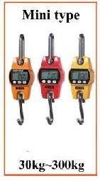 Crane Scale